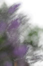 %_tempFileNamePlatz%2031%20-%2036%20(15%20Pkt)__J.Vogler%