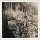 %_tempFileNamePlatz%2045%20-%2046%20(10%20Pkt)_J.Vogler%