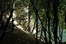%_tempFileNamePlatz%2024-33_R.Riegler-11%