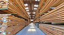 %_tempFileNamePlatz%2027-29_RieglerR.%